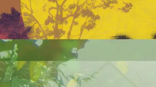 photomash_10099