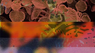 photomash_10109