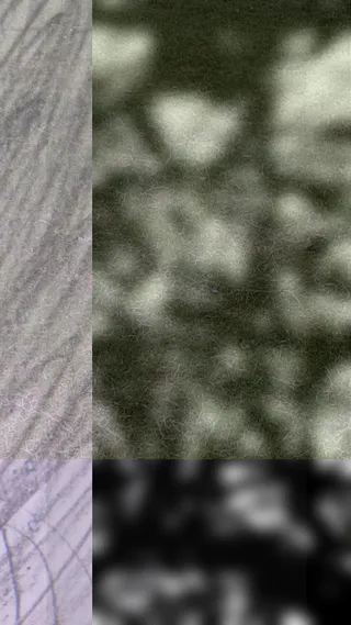 photomash_10173